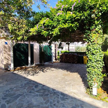 Apartment Wisteria Rogoznica (Sibenik-Knin) Exterior foto